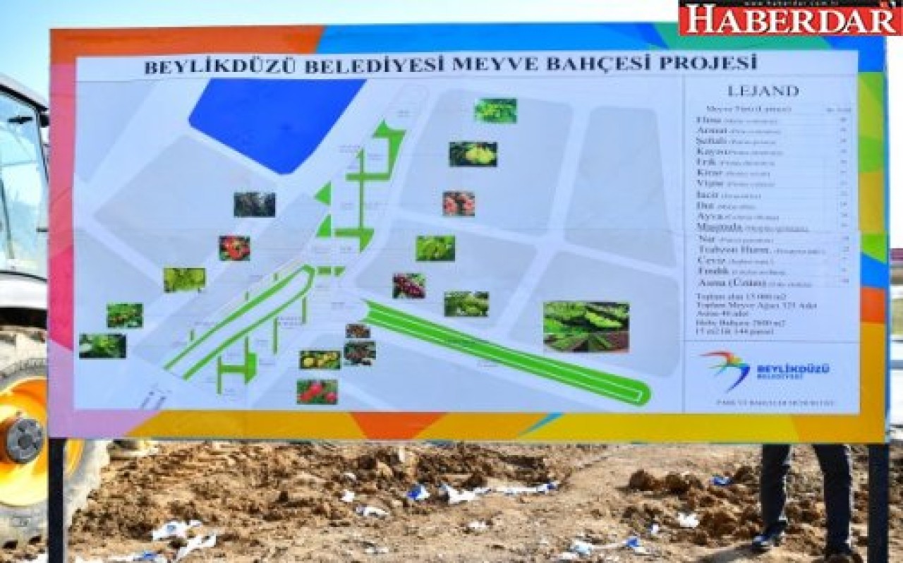 Beylikdüzünde Dev Meyve Ormanı