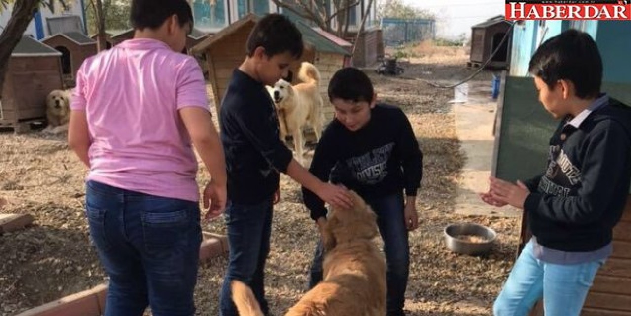 Büyükçekmeceli öğrenciler barınağa hayran kaldı