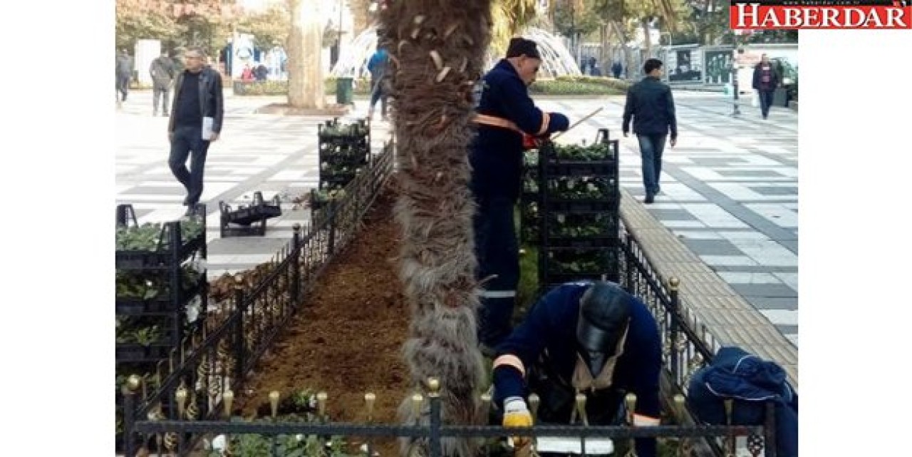 Kışın Çiçek Açaçak !