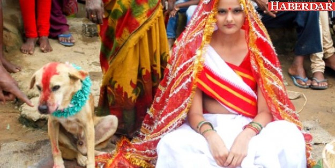 Kızları Köpekle Evlendiriyorlar!