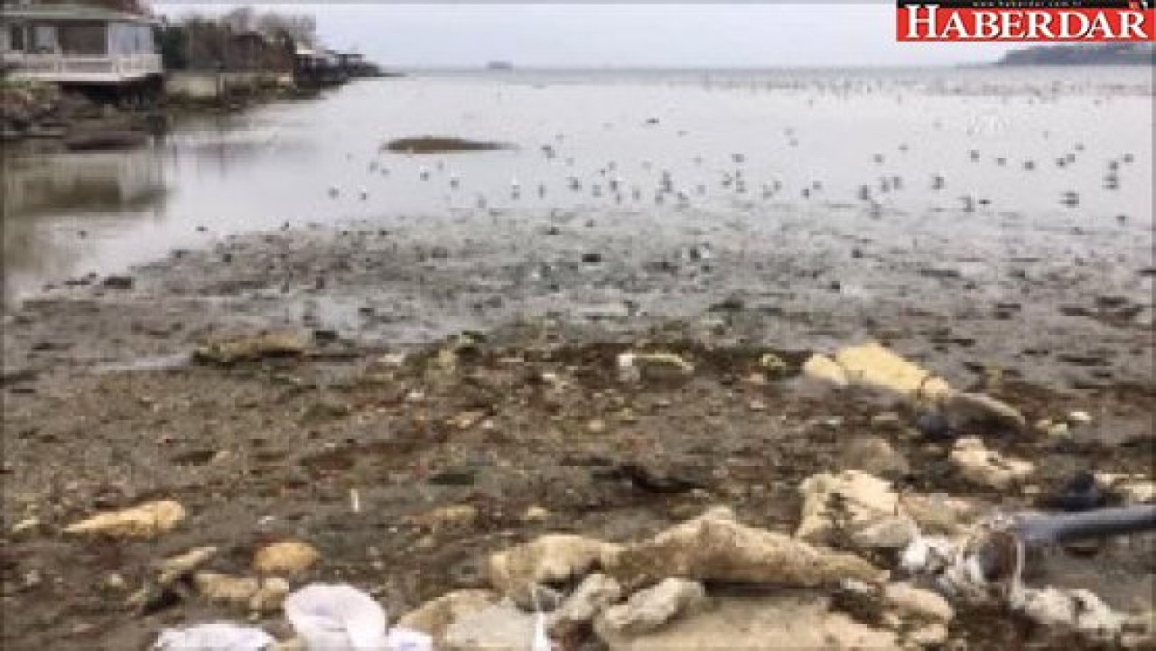 Silivride Deniz Suyu Çekildi