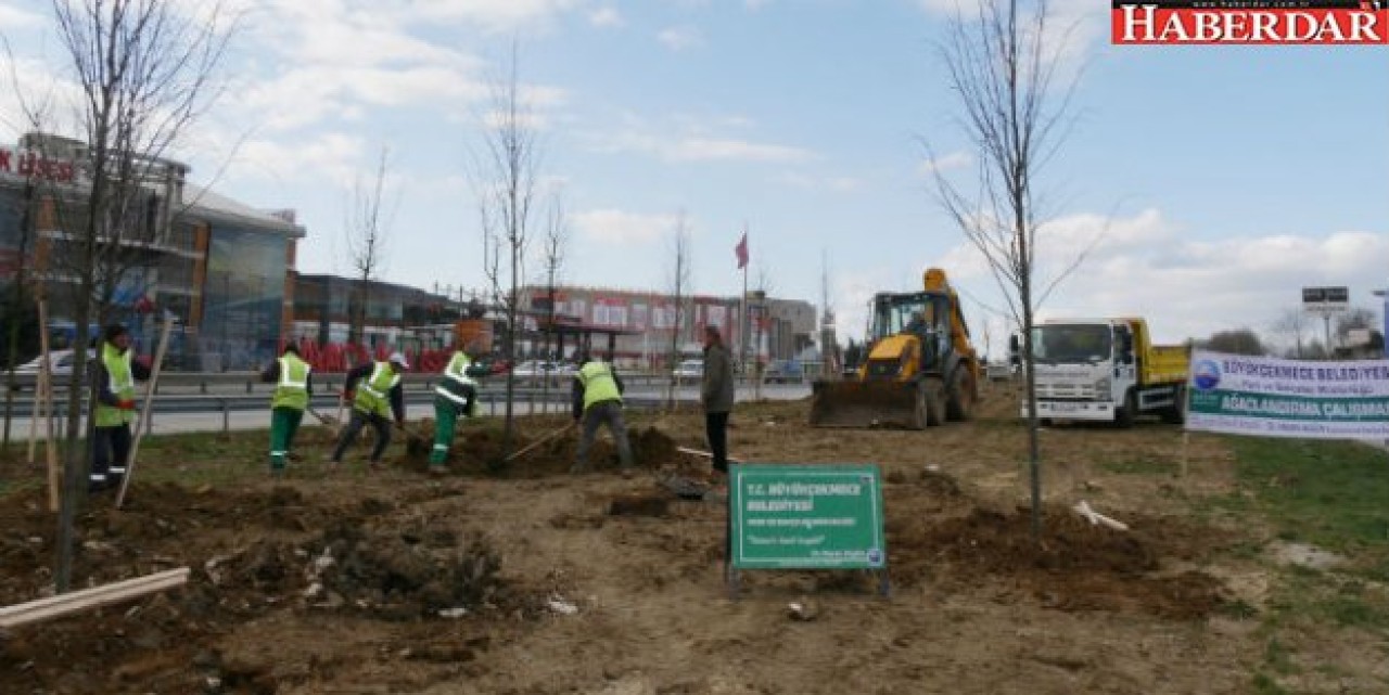 Büyükçekmece Belediyesi, işgal edilen alanları ağaçlandırıyor
