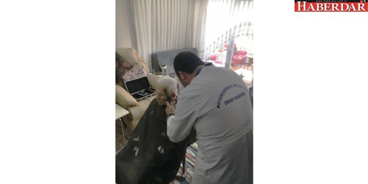 Küçük ama anlamlı hizmet