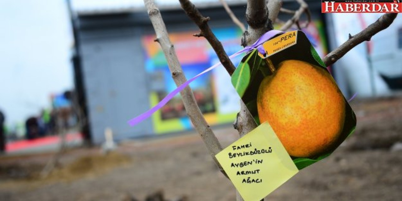 Hobi bahçeniz olsun istiyorsanız..