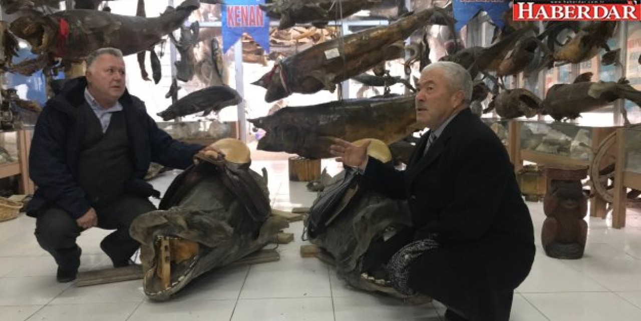 Ünlü cerrahtan Türkiye Deniz Canlıları Müzesi için önemli çağrı