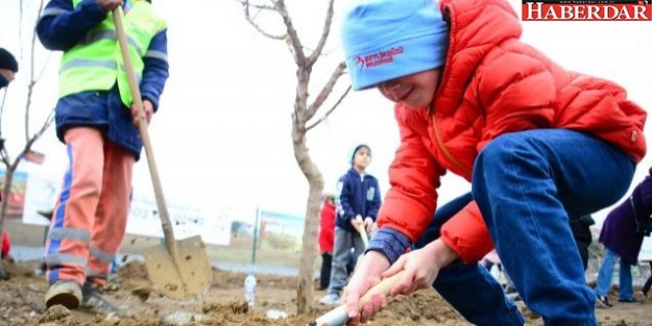 Hobi bahçeleri gönüllülerine kavuşuyor