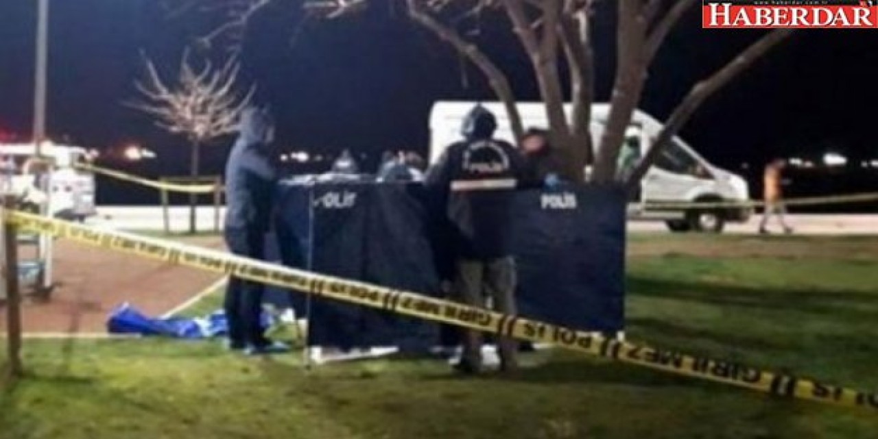 Zeytinburnuda korkunç olay: Ağaca asılmış...