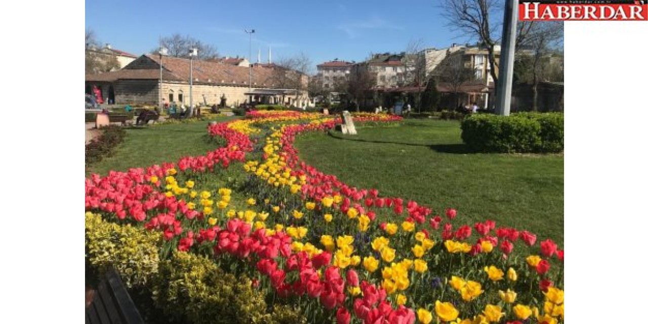 Büyükçekmece laleler ile çok daha renkli