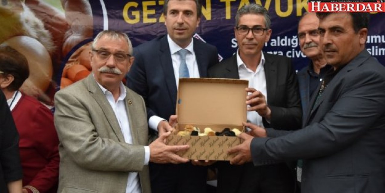 Getir Yumurtanı Götür Civcivini Projesi’nin ilk yavruları vatandaşla buluştu