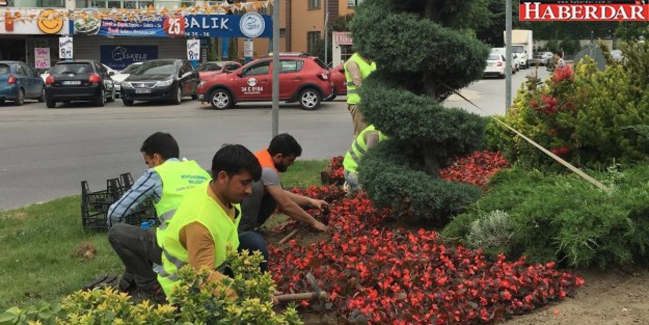 Büyükçekmece çiçek bahçesi gibi