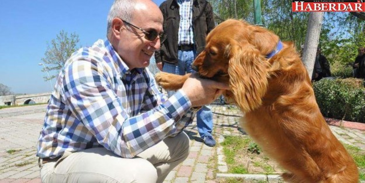 Akgün: Hiçbir sokak hayvanı aç ve susuz kalmayacak