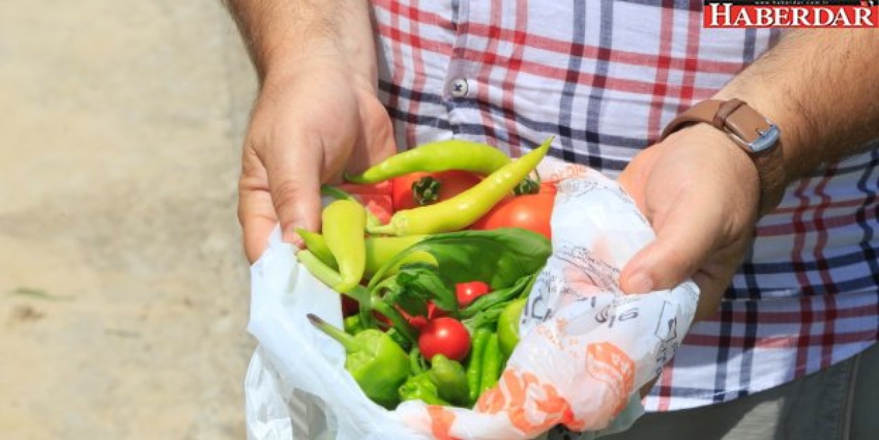 BU SEBZE MEYVELER PAZARDAN DEĞİL, DALINDAN