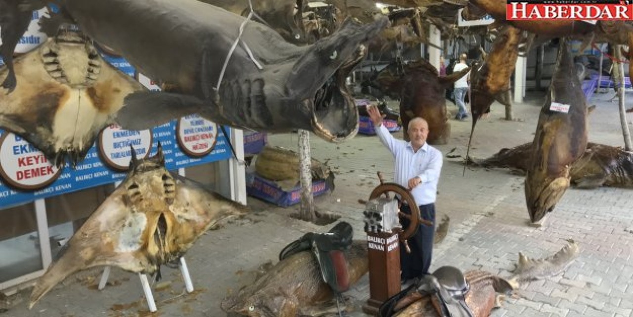 41 Tonluk Balık Müzesi Kışa Hazır