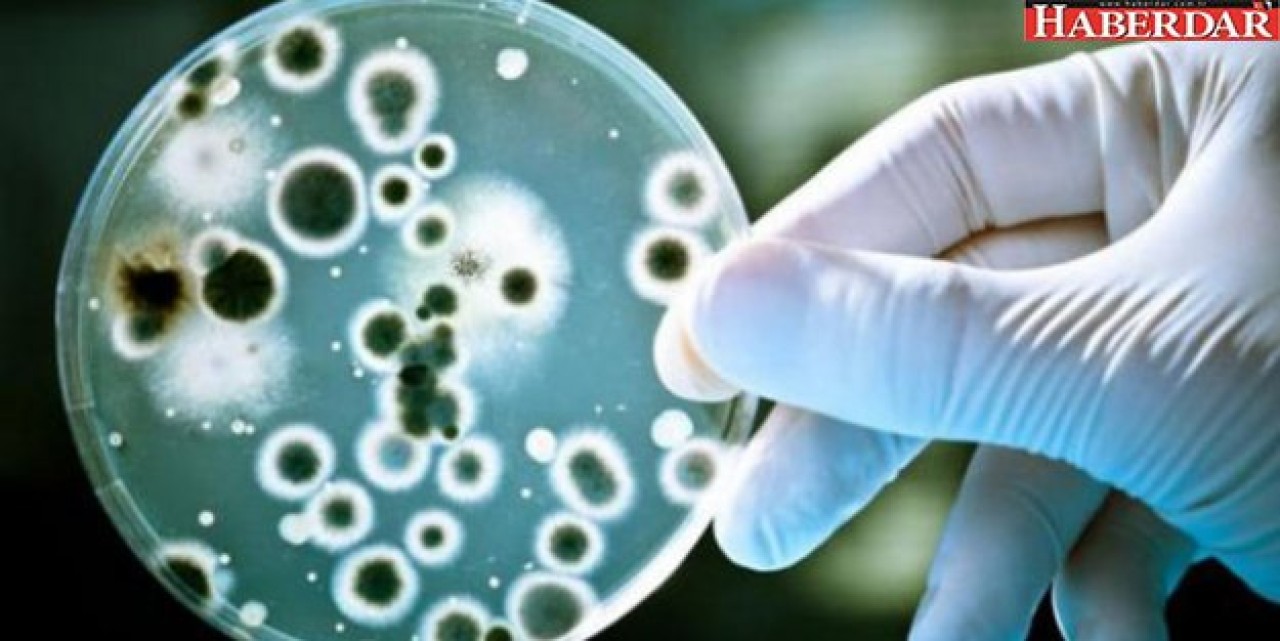 Korkutan keşif: Tedavisi yok