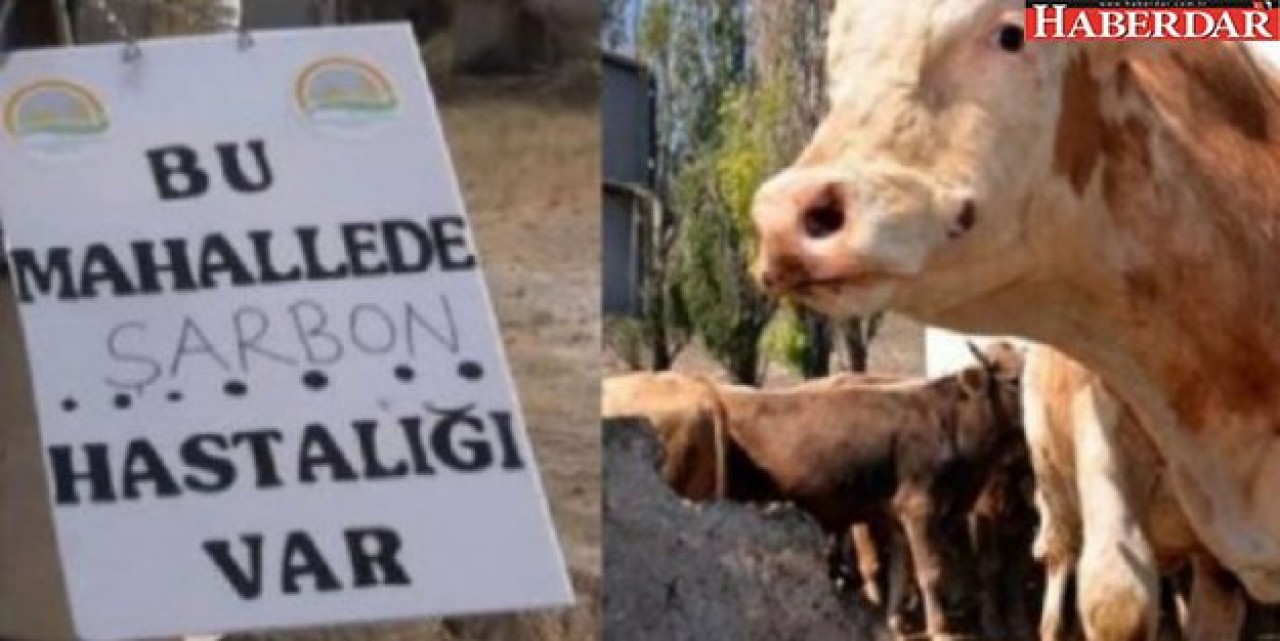 Valilik yok dedi! 50 kişi gözetime alındı...