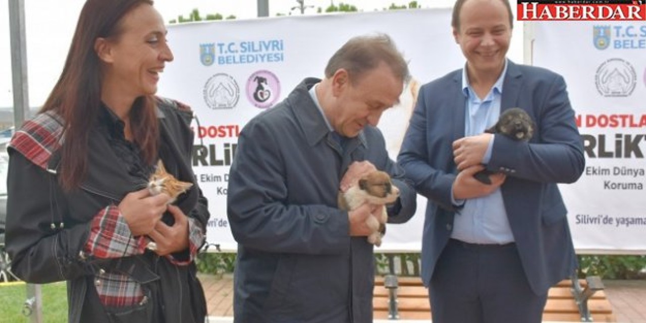 Silivride 4 Eylül için örnek işbirliği