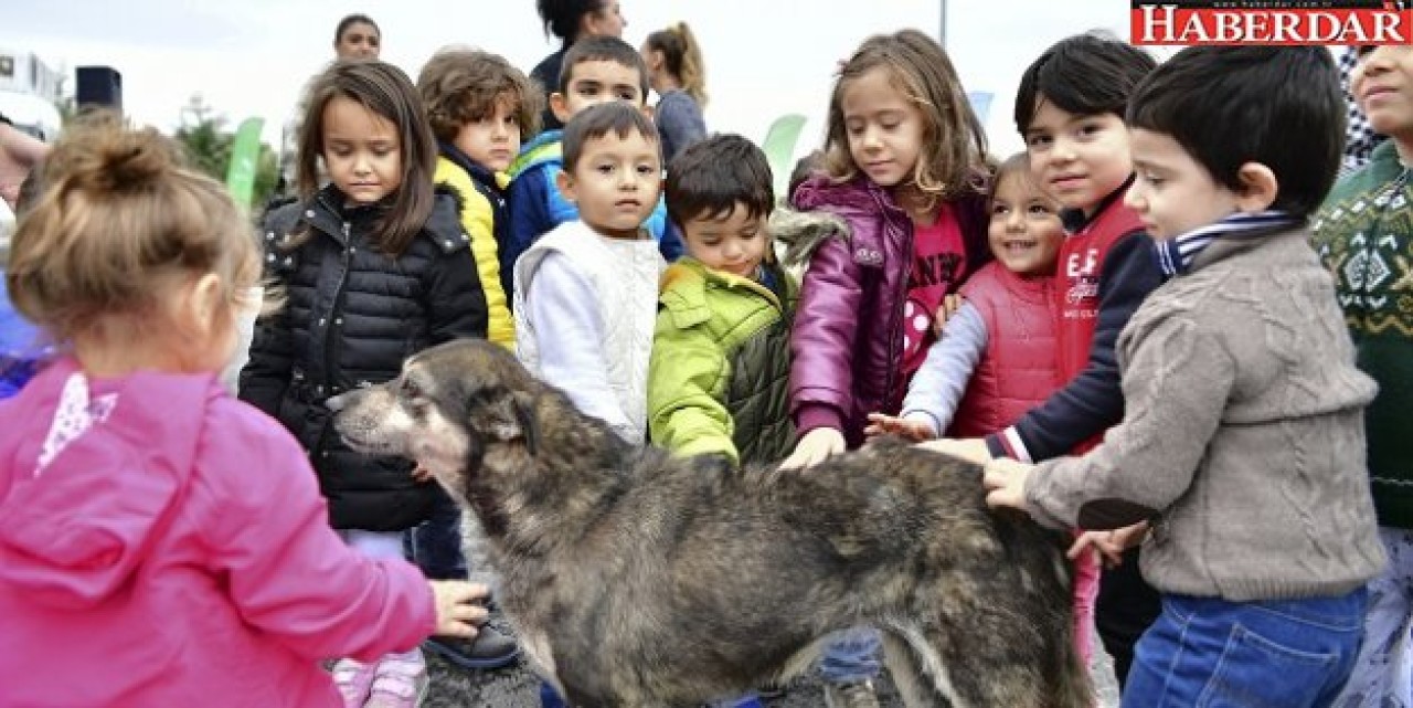 Beylikdüzünde çocuklar can dostlarıyla buluştu