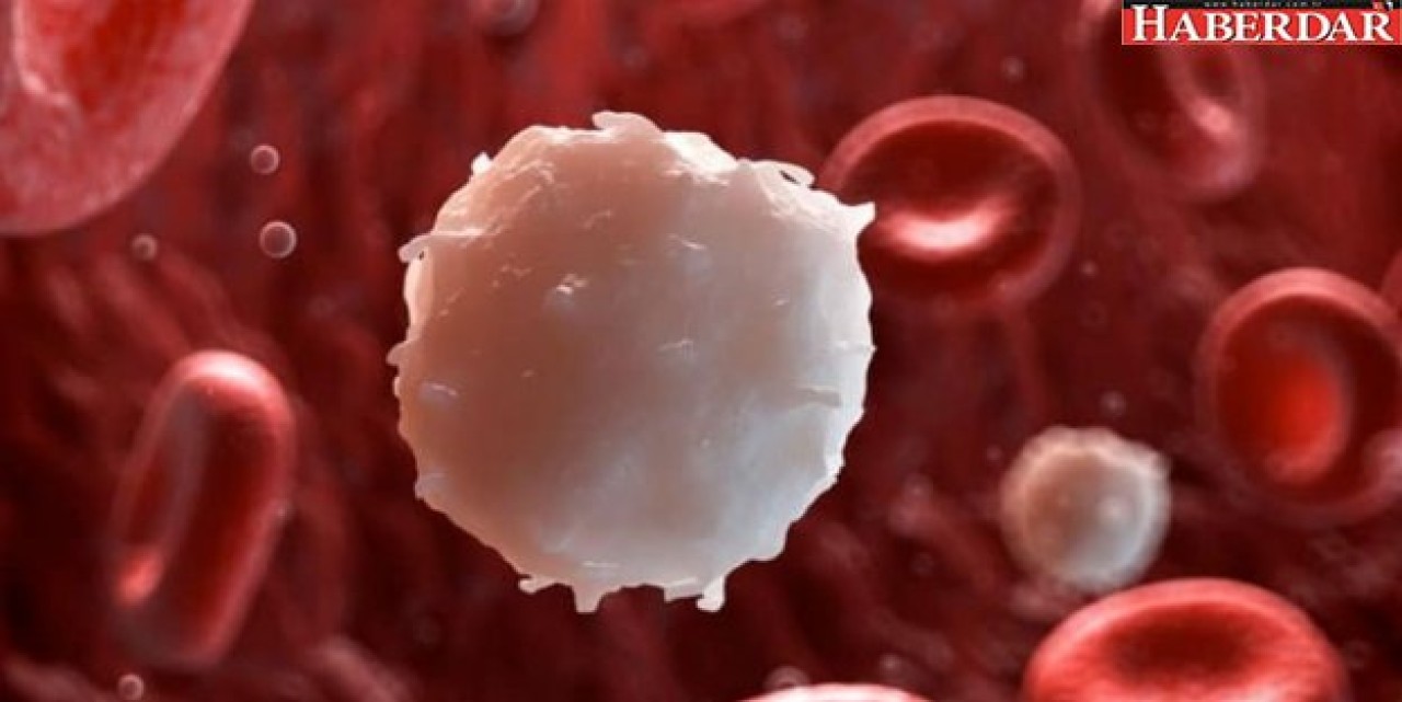 Löseminin tedavi şansı yüzde 80