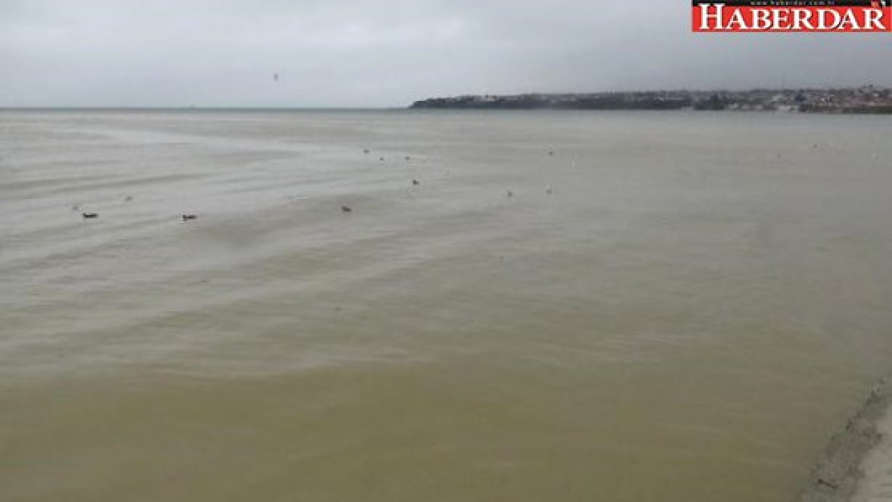 Silivride Marmara Denizi Kahverengi Oldu