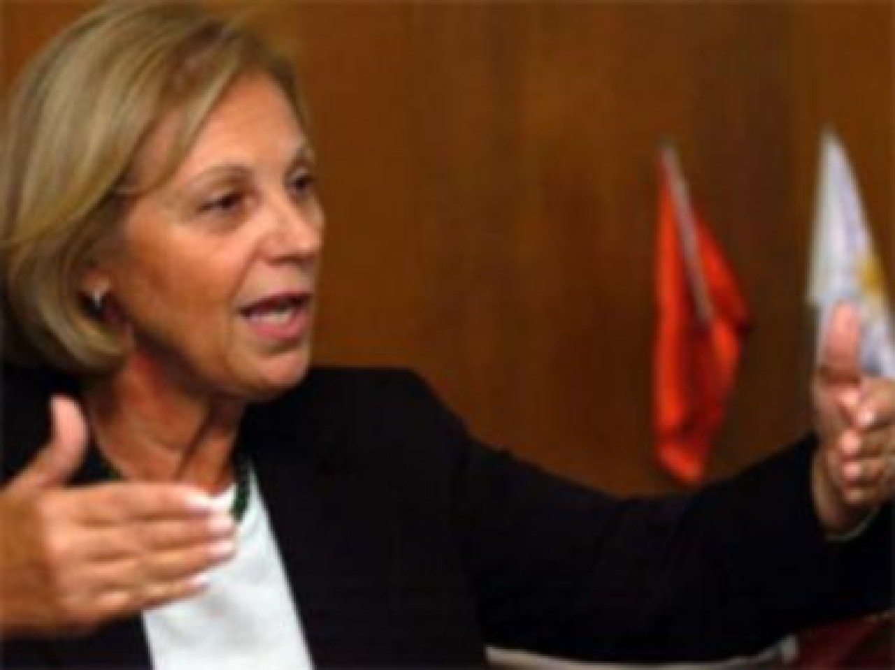 "TÜSİAD, özgürlük için ülke bölünebilir diyor"