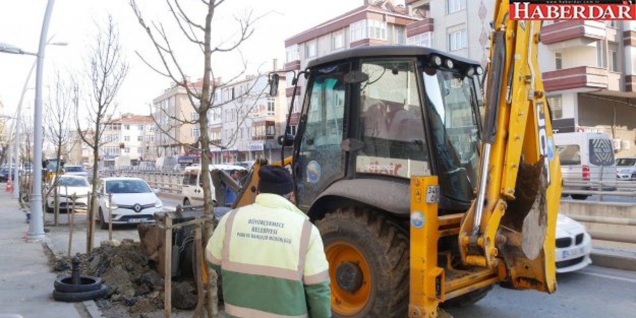 Büyükçekmece’de ağaçlandırma çalışmalarına hız verildi