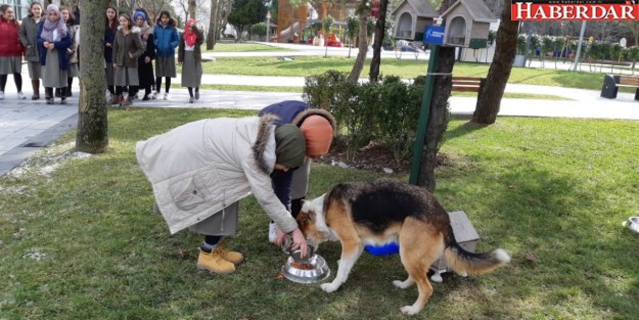 KÜÇÜKÇEKMECE BELEDİYESİ SOKAK HAYVANLARINI UNUTMADI