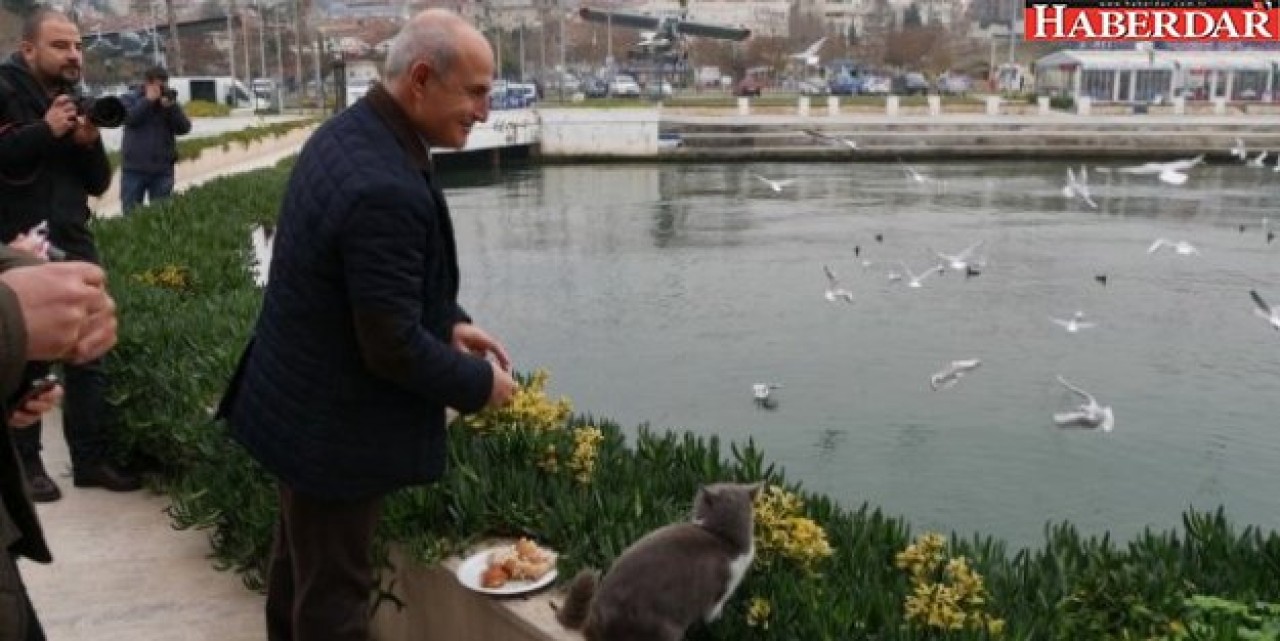 Büyükçekmece Belediyesi Sokak Hayvanların Bakım ve Tedavilerini Üstleniyor