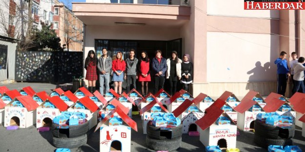 ÖĞRENCİLERLE EL ELE KEDİLER EVLENDİ