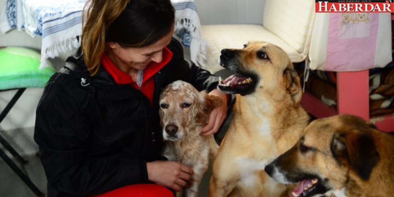 BEYLİKDÜZÜ’NDE TAM DONANIMLI HAYVAN HASTANESİ