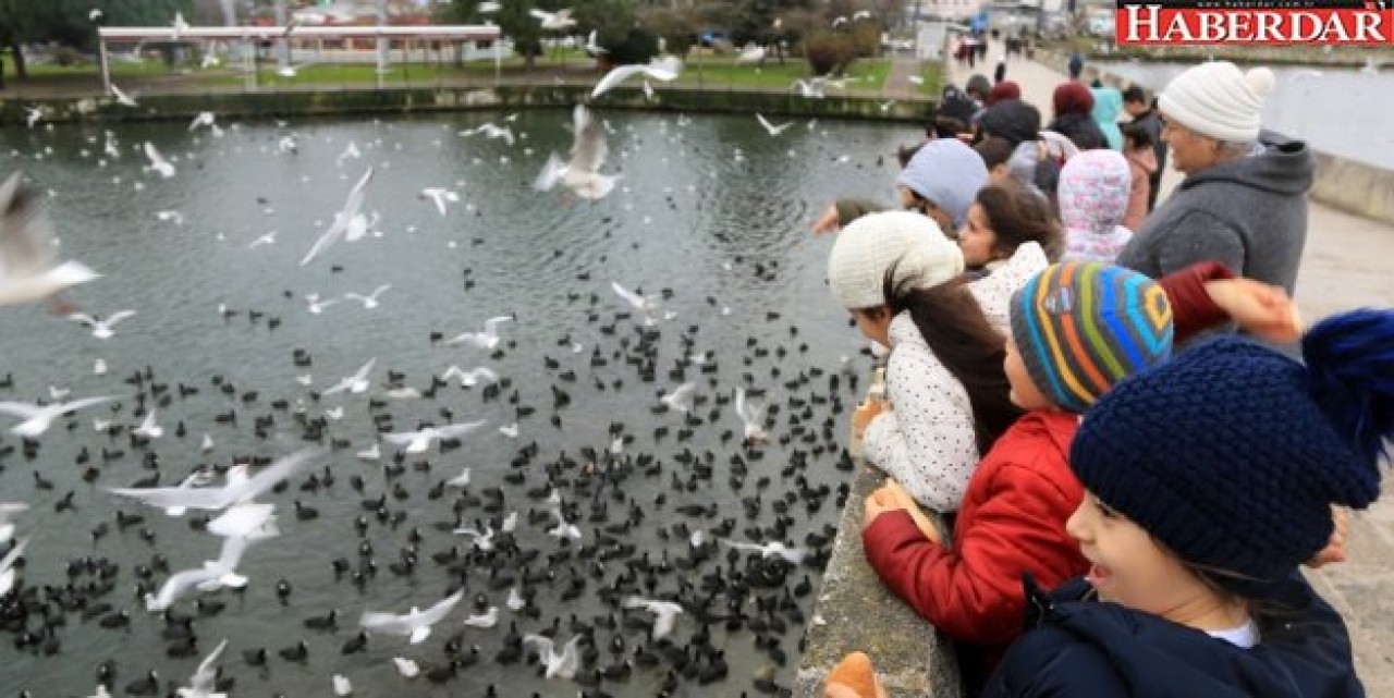 KÜÇÜKÇEKMECE’DE GÖLÜ’NDE MARTILARIN EKMEK KAPMA YARIŞI