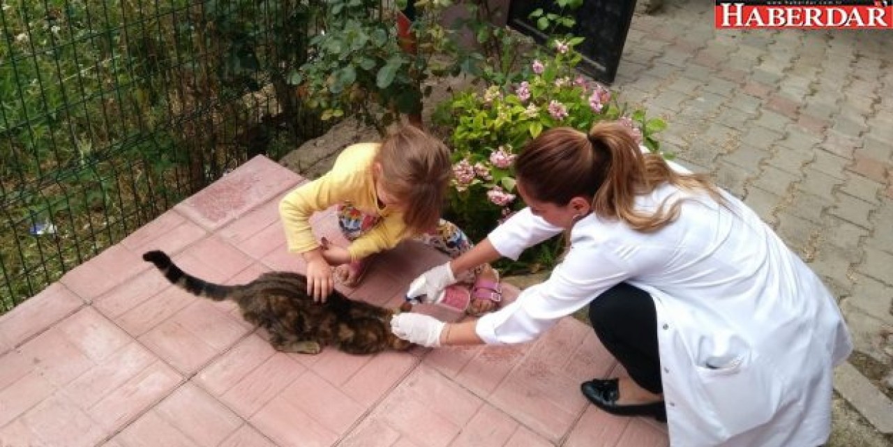 Çatalca Belediyesi, 1213 Sevimli Dostumuzun Hayatına Dokundu