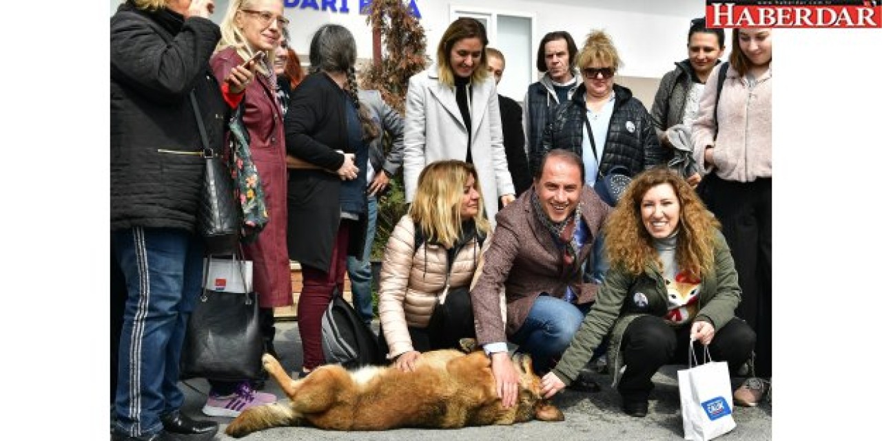 ÇALIK’TAN PATİLİ DOSTLARA MANİFESTO