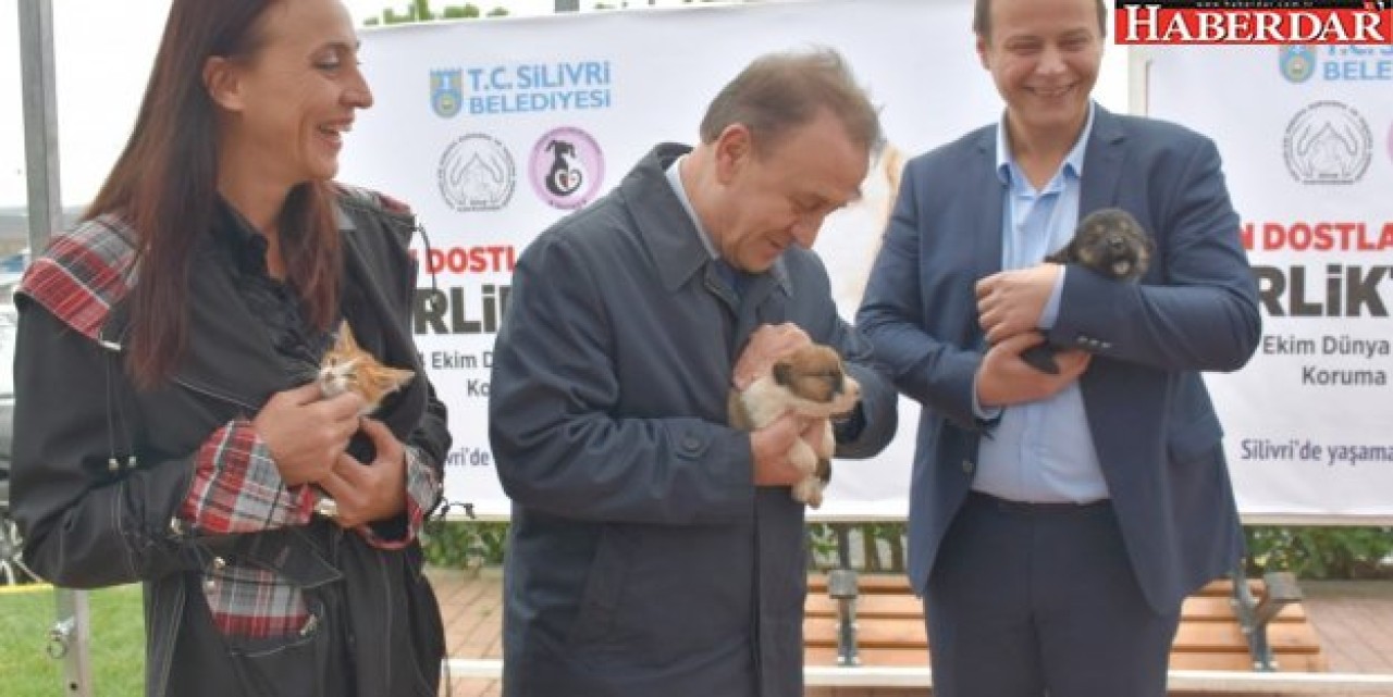 Işıklar: Provokasyon yapıyorlar