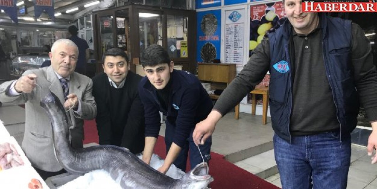 Marmara’dan 3 metre yılan balığı çıktı