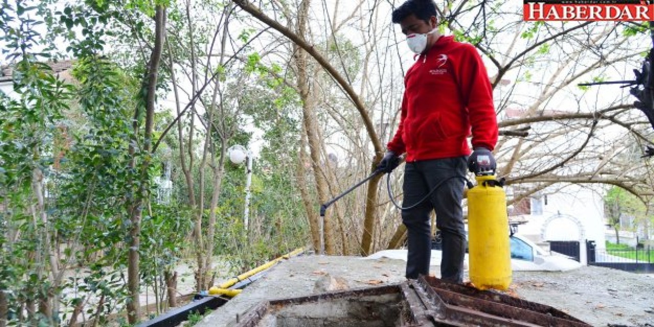 BEYLİKDÜZÜ’NDE YAZ SİVRİSİNEKSİZ GEÇECEK