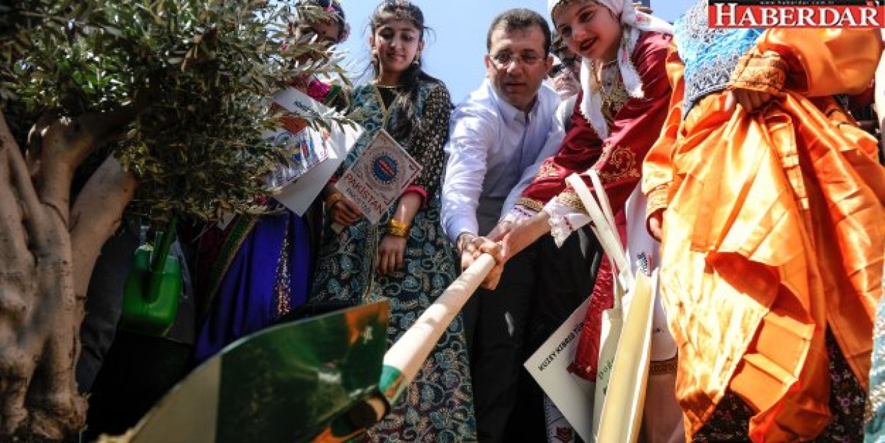 Ekrem İmamoğlu zeytin ağacı dikti