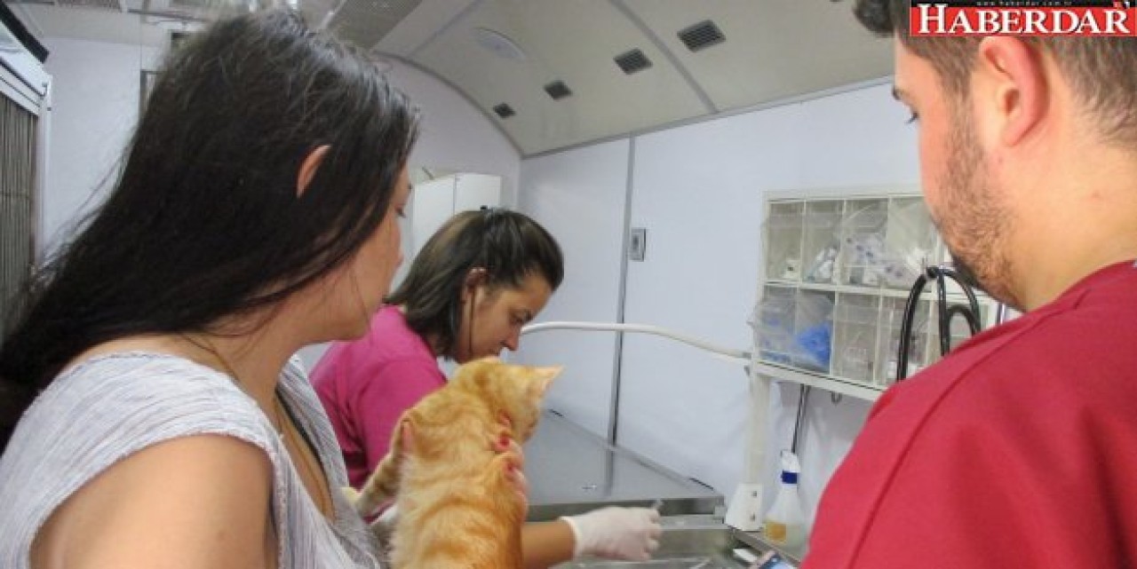 Beylikdüzü hayvanları ihmal etmedi