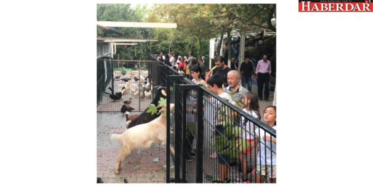 Türkiye Deniz Canlıları Müzesi ziyaretçi rekoru kırdı