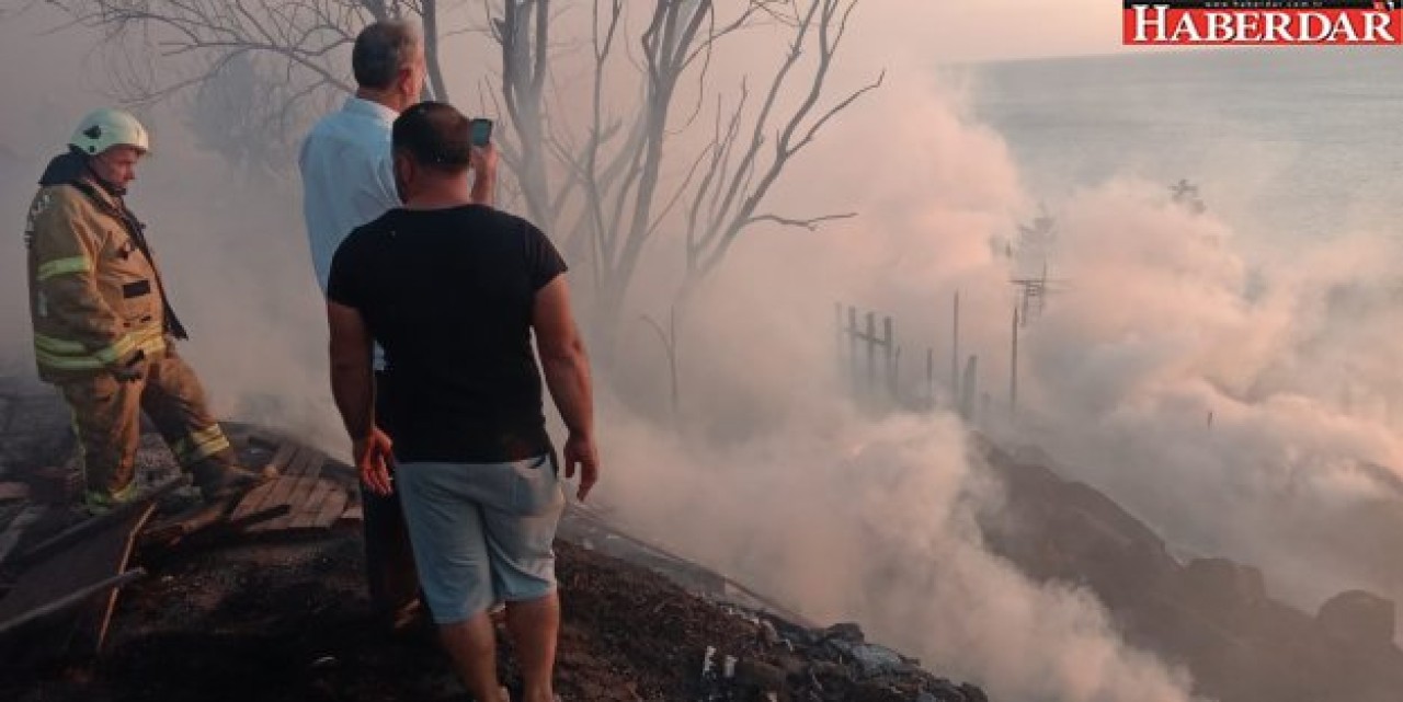 650 tavuk telef oldu