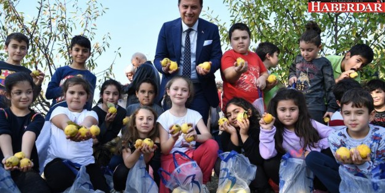 MİNİKLER MEYVE HASADINI BAŞKAN ÇALIK İLE YAPTI