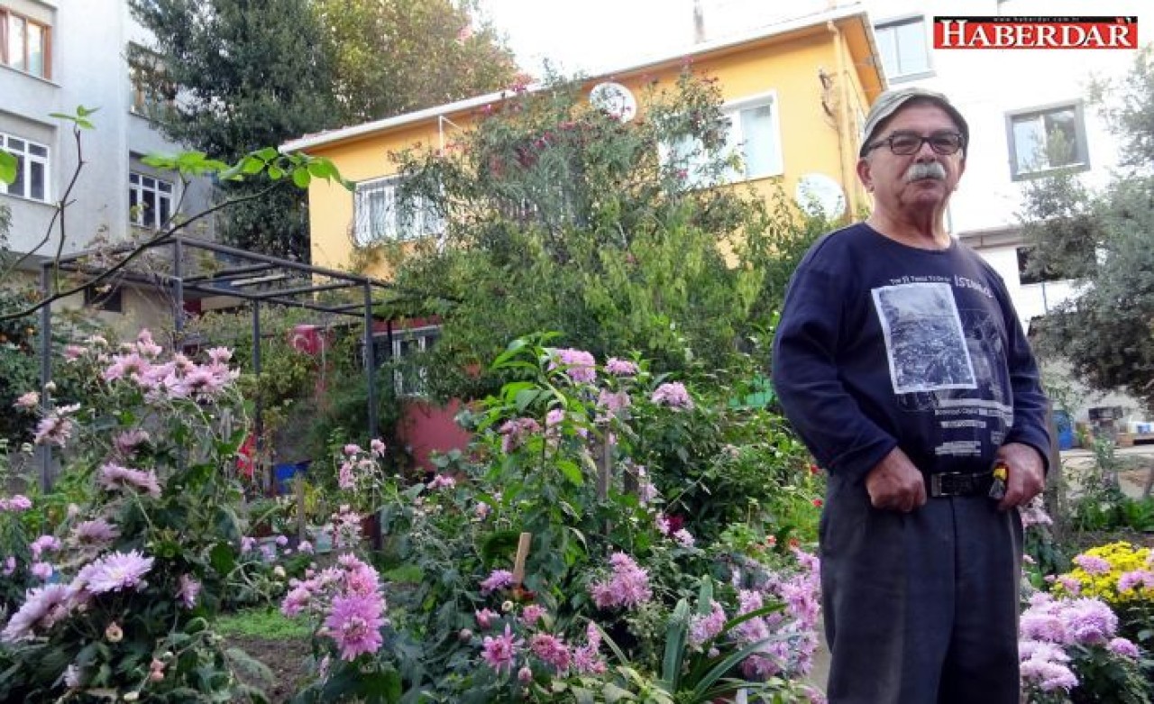 Betonlar içinde tek bahçe