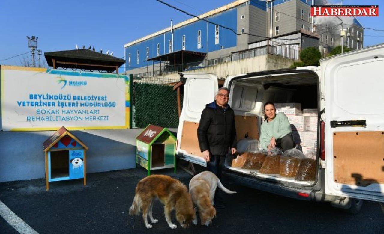 BEYLİKDÜZÜ HAYVAN BAKIMEVİ’NE 500 KİLO MAMA BAĞIŞI