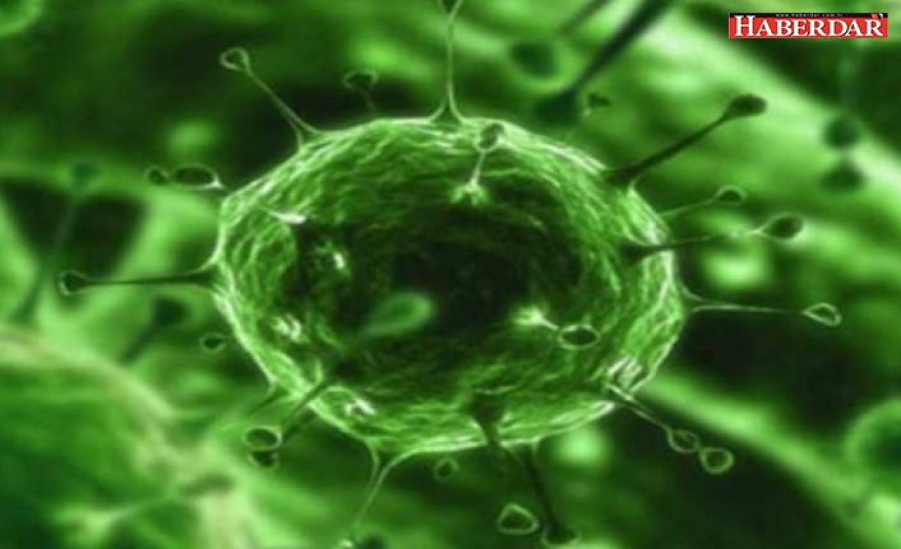 Coronavirüsünün benzeri SARS nedir? SARSın belirtileri nelerdir?