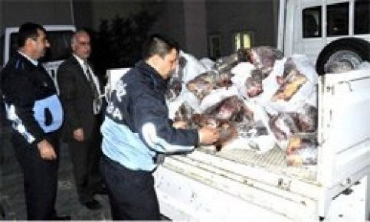 Kaçak et rekor seviyede arttı