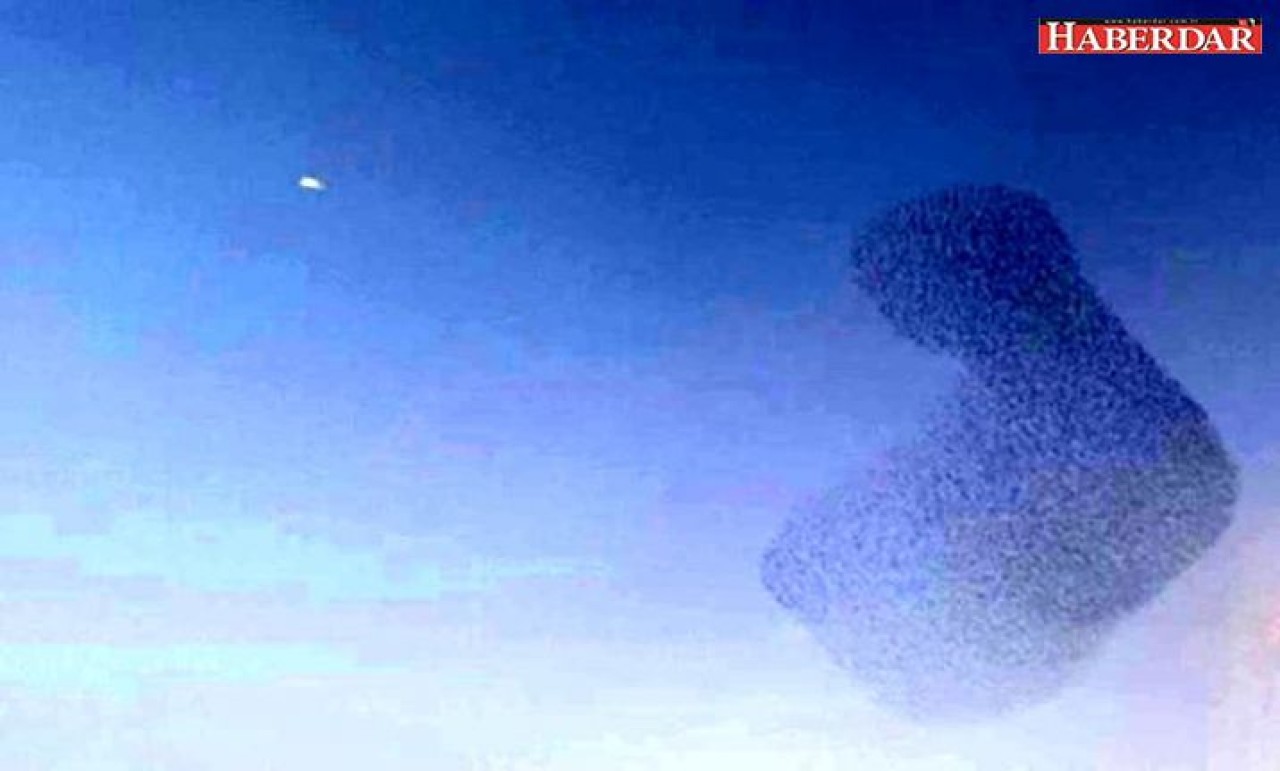 Sığırcıkların gökyüzünde muhteşem dansı