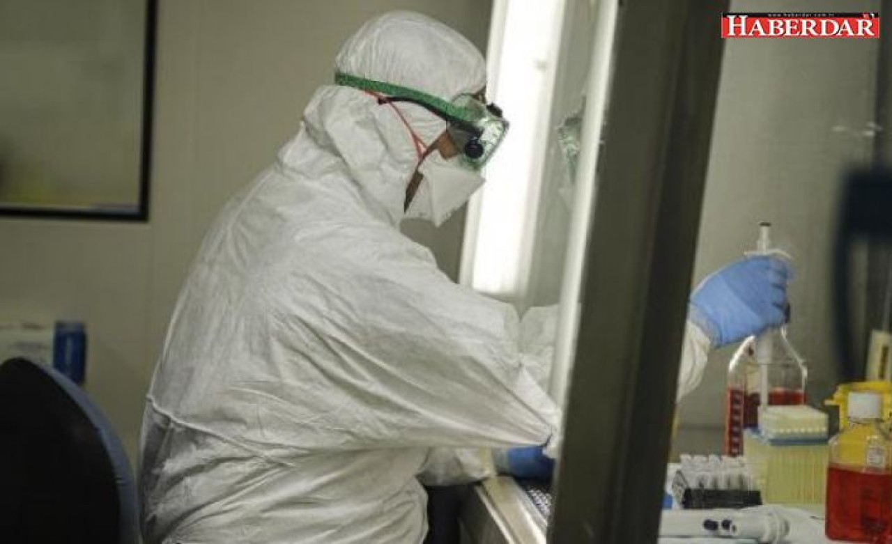 Koronavirüs aşısının bulunması 2 yıldan uzun sürebilir