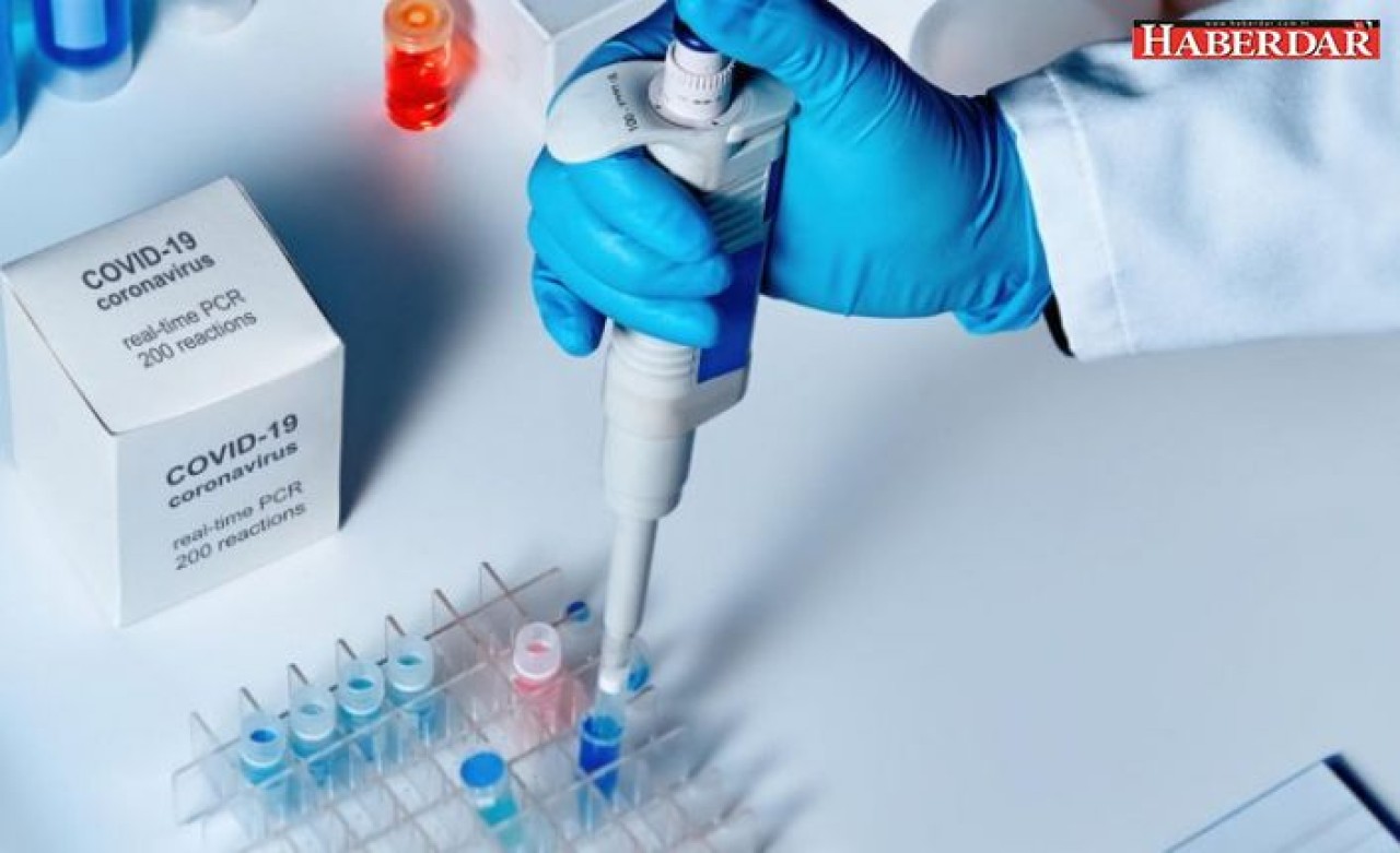 Koronavirüs salgını için çok önemli 2. dalga açıklaması