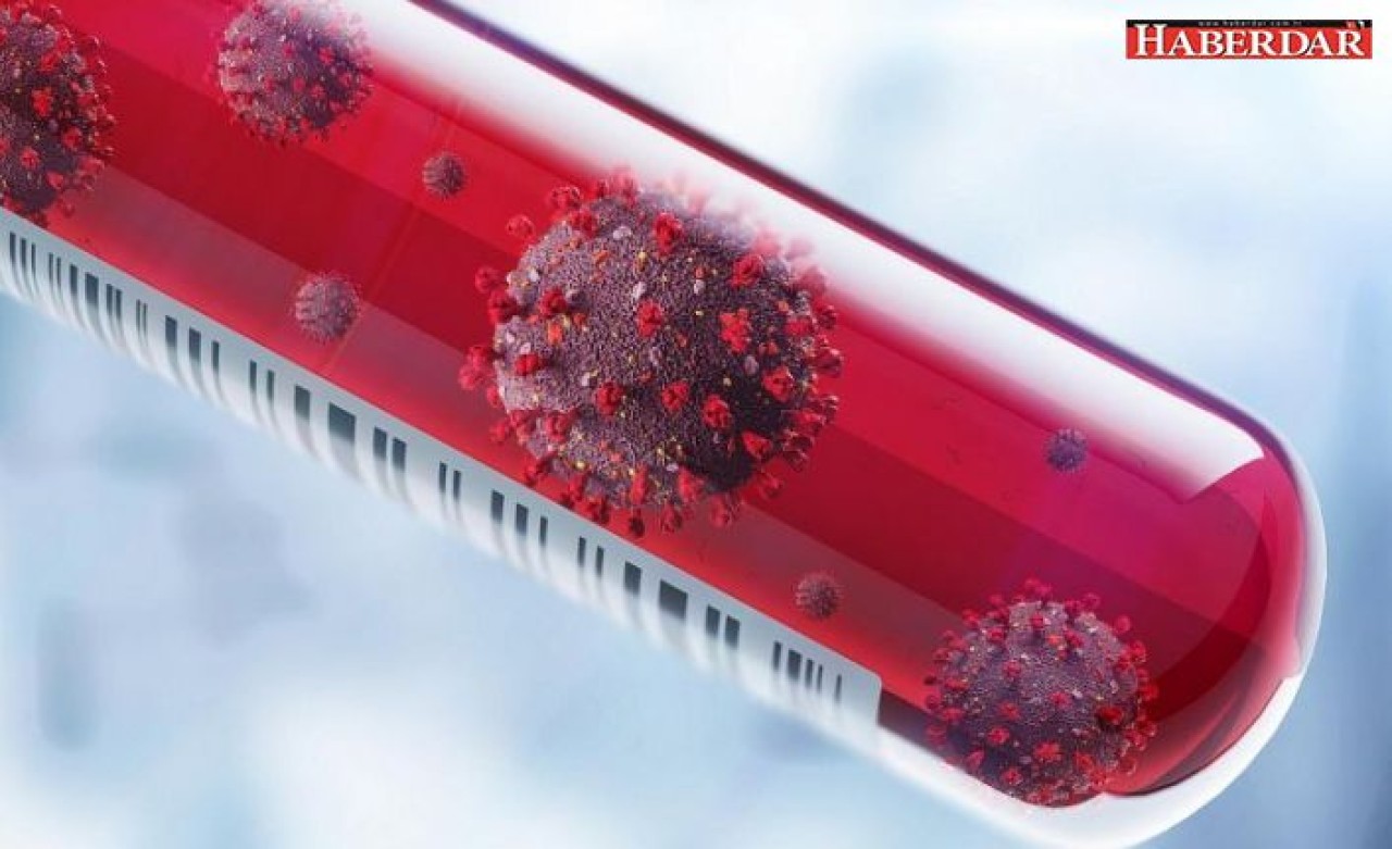 Başımız belada diyen Prof. Dr. Ian Lipkin: Daha ölümcül virüsler çıkabilir