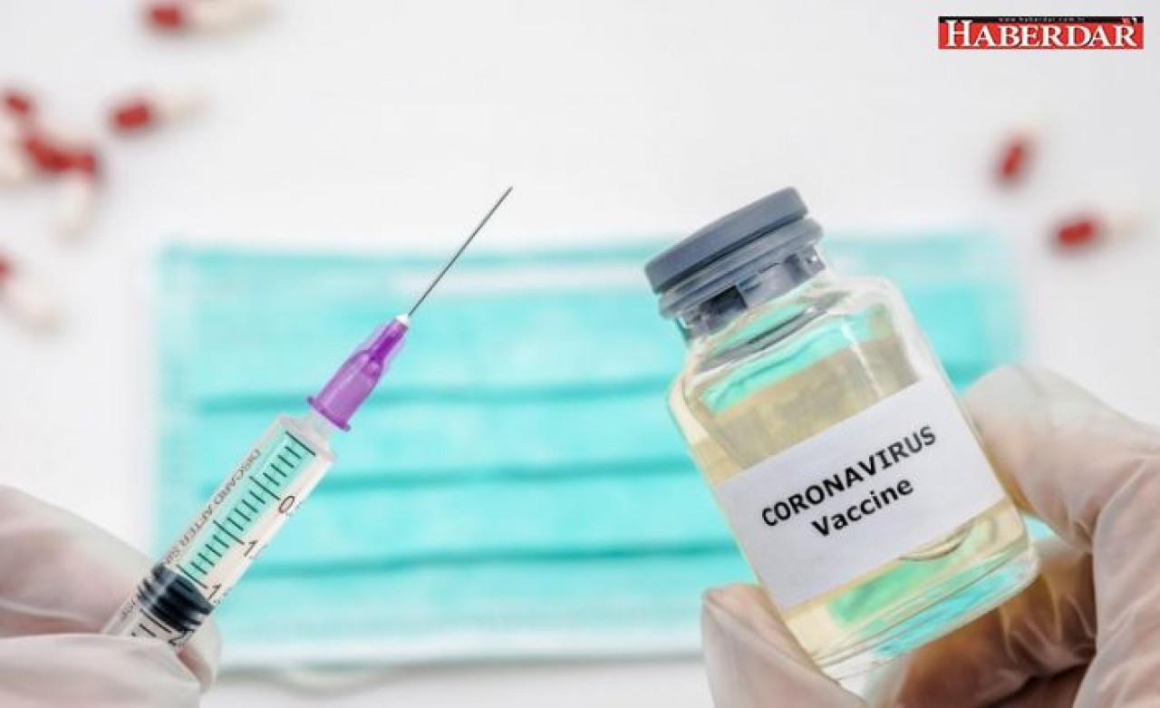 Aşı konusunda ilk adım Oxford Üniversitesinden geldi: Maymunlar üzerinde olumlu sonuç verdi