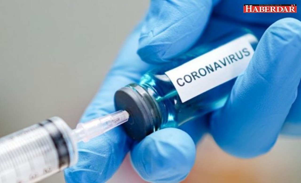 Koronavirüs tedavi yöntemleri işe yaramazsa ne olacak? Korkutan sonbahar açıklaması